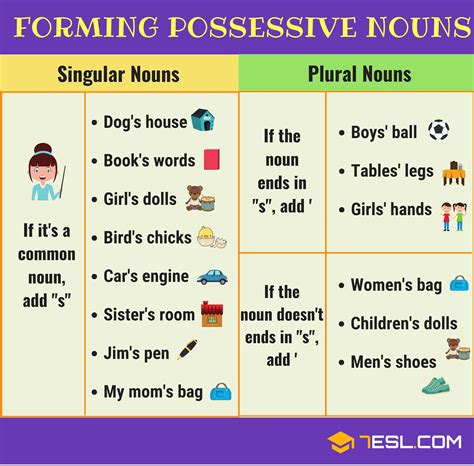 What are the 7 possessive nouns?