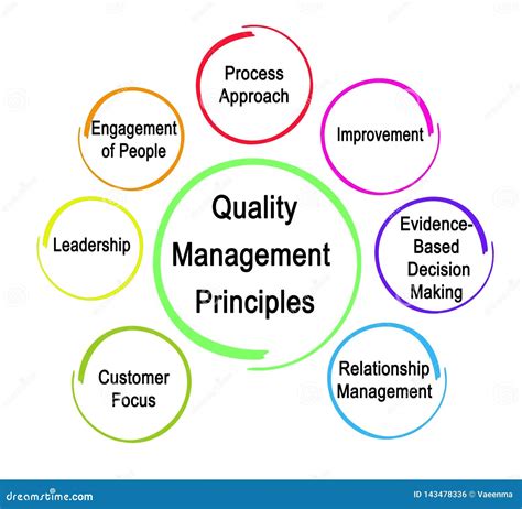 What are the 7 principles of quality management?