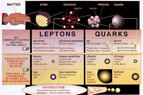 What are the 7 quarks?