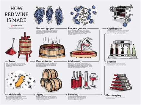 What are the 7 steps of wine making?