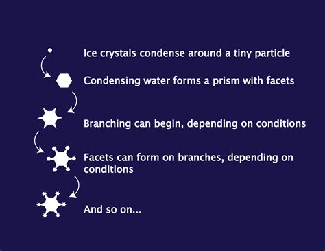 What are the 8 basic Snowflake forms?