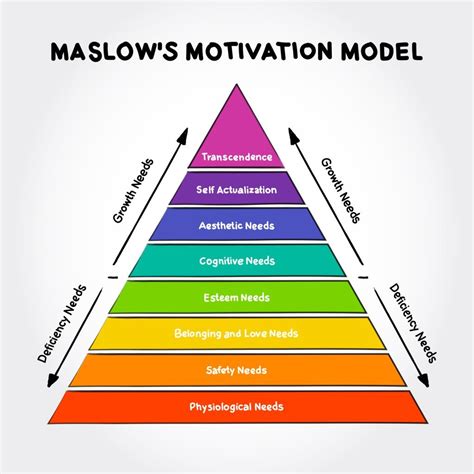 What are the 8 basics of motivation?