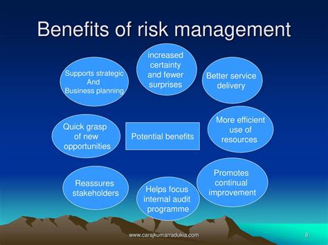 What are the 8 benefits of risk management?