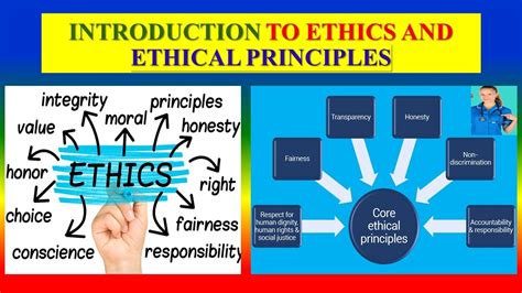 What are the 8 ethical principles?