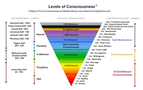What are the 8 levels of consciousness?