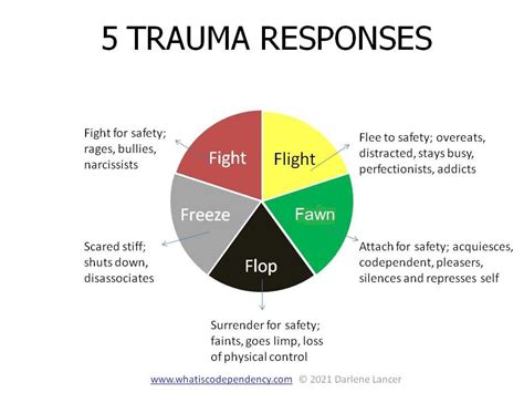 What are the 8 trauma reactions?