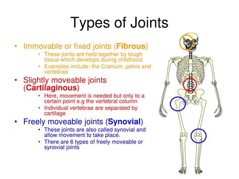 What are the 9 types of joints?