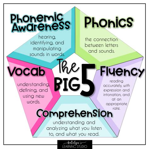 What are the Big 5 reading strategies?