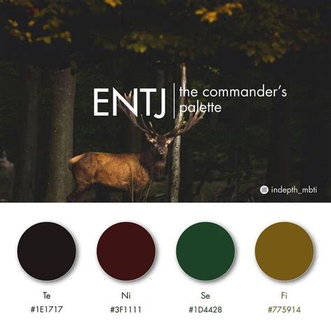 What are the ENTJ colors?