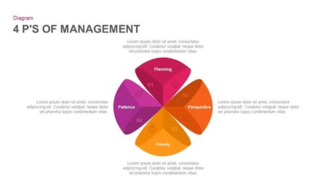 What are the P's of management?
