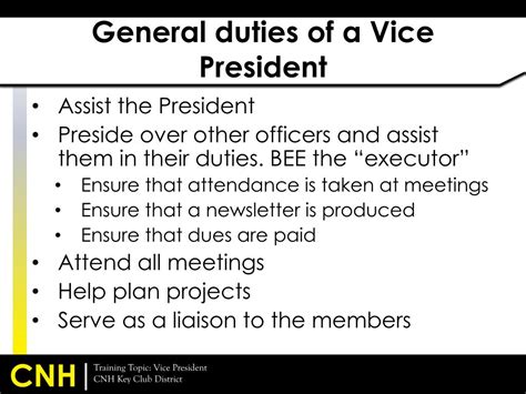 What are the VP duties?