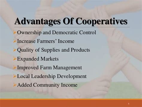 What are the advantages and disadvantages of cooperative?