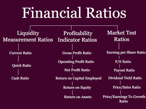 What are the basic financial ratios?