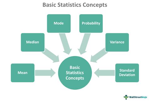 What are the basics of statistics?