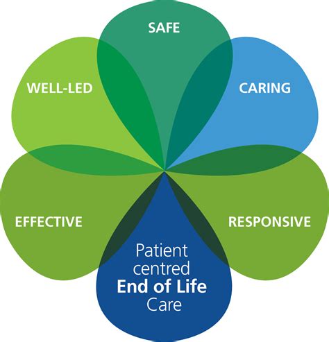 What are the behaviors of end of life?