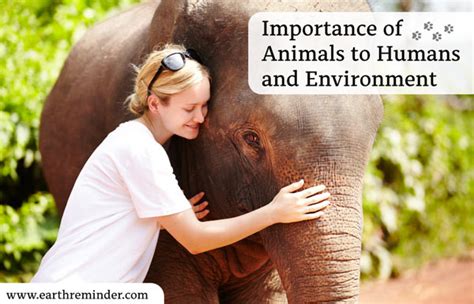 What are the benefits of animals to humans?