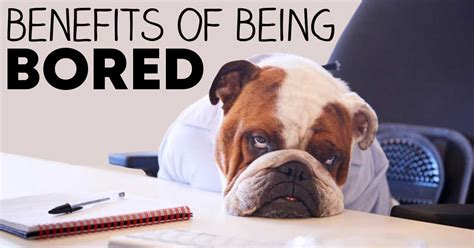 What are the benefits of being boring?