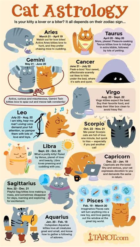 What are the benefits of having a cat in astrology?