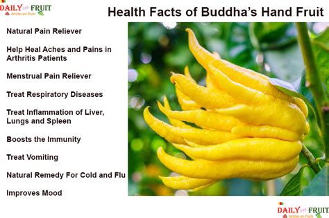 What are the benefits of the Buddha fruit?