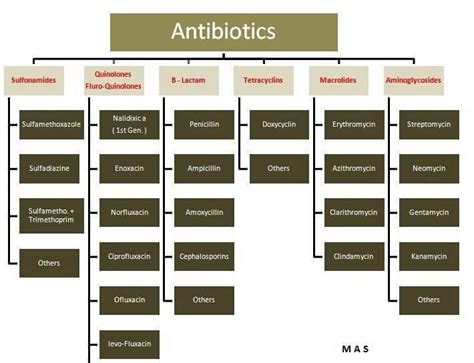 What are the big four antibiotics?