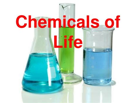 What are the big six chemicals of life?