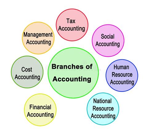 What are the branches of accounting?