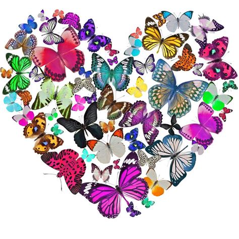 What are the butterflies of the heart?