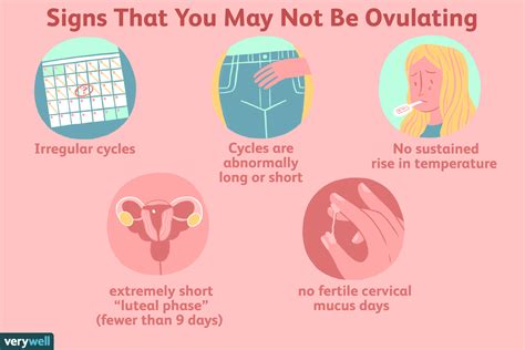 What are the chances of getting pregnant while not ovulating?