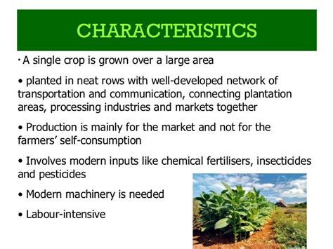 What are the characteristics of crops?
