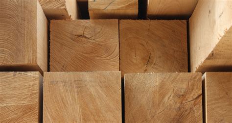 What are the characteristics of green oak?