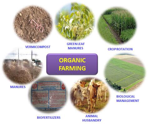 What are the characteristics of organic crops?