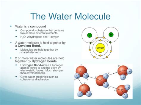 What are the chemical properties of water?