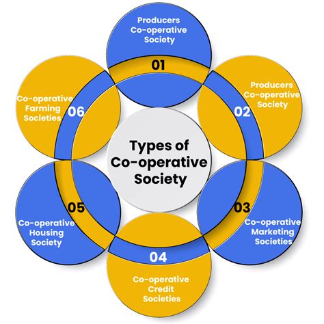 What are the classification of cooperatives?