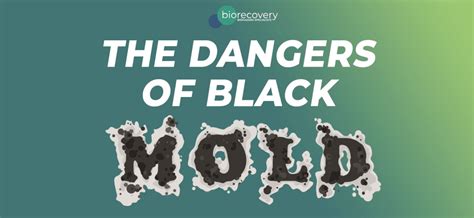 What are the dangers of black mold?