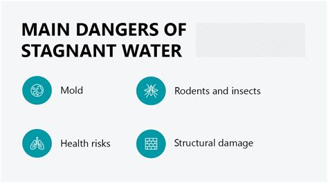 What are the dangers of stagnant water?