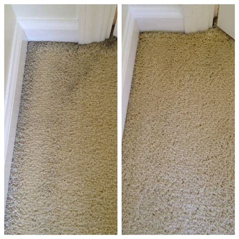 What are the dark lines at the edge of carpet?