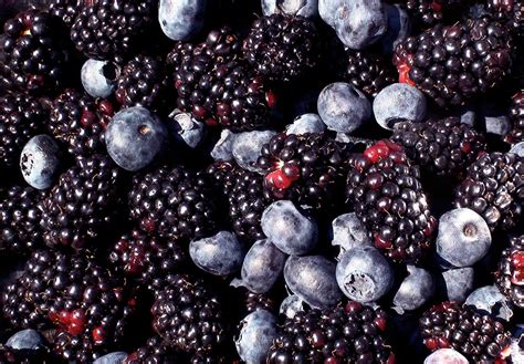 What are the darkest berries?