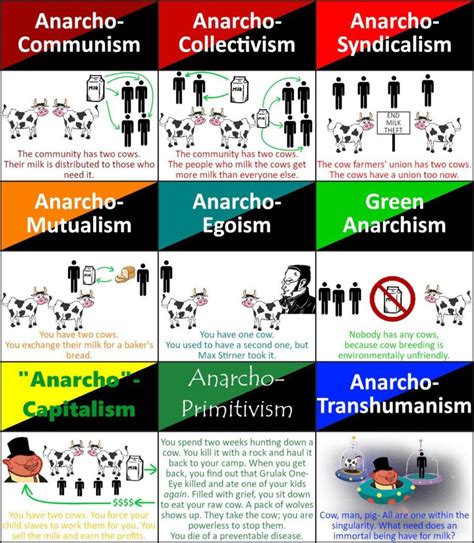 What are the different types of anarchy?