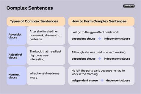 What are the different types of complex sentences?