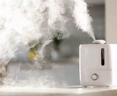 What are the disadvantages of a humidifier?