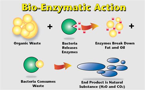 What are the disadvantages of enzymatic cleaners?