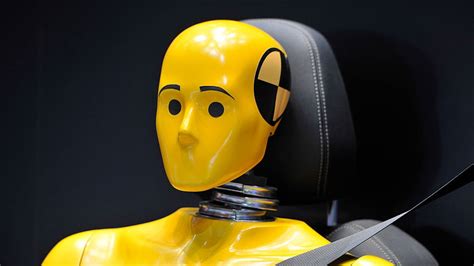 What are the dummies used in crash test?