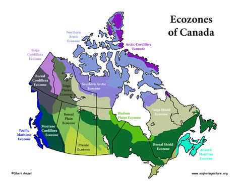 What are the ecosystems in Canada?