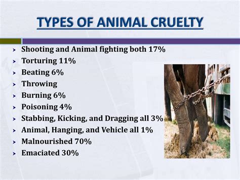 What are the effects of animal cruelty?