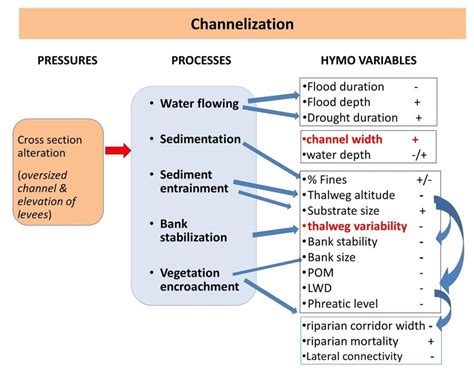 What are the effects of channelization?