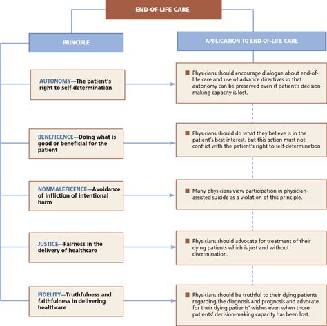 What are the ethical issues of end of life?