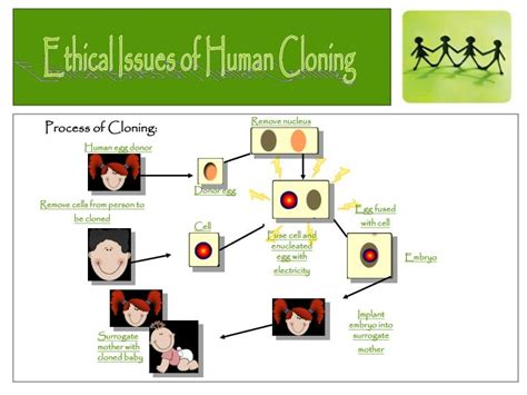 What are the ethical issues with cloning?