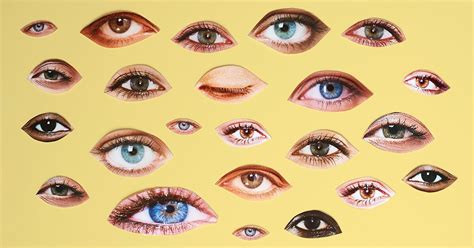 What are the examples of bipolar eyes?