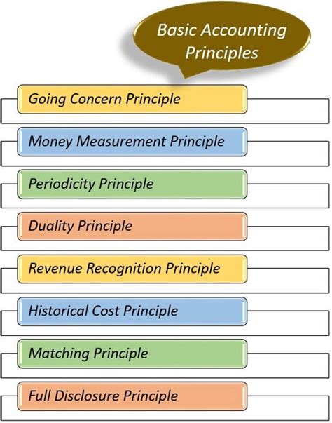 What are the five basic accounting principles?