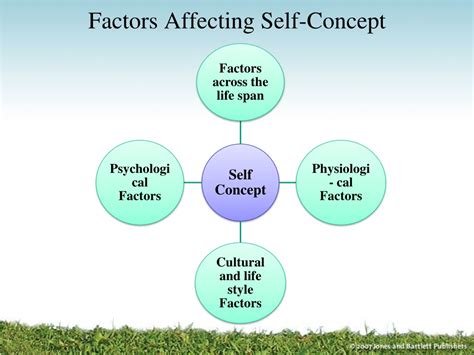 What are the five factors that influence self?